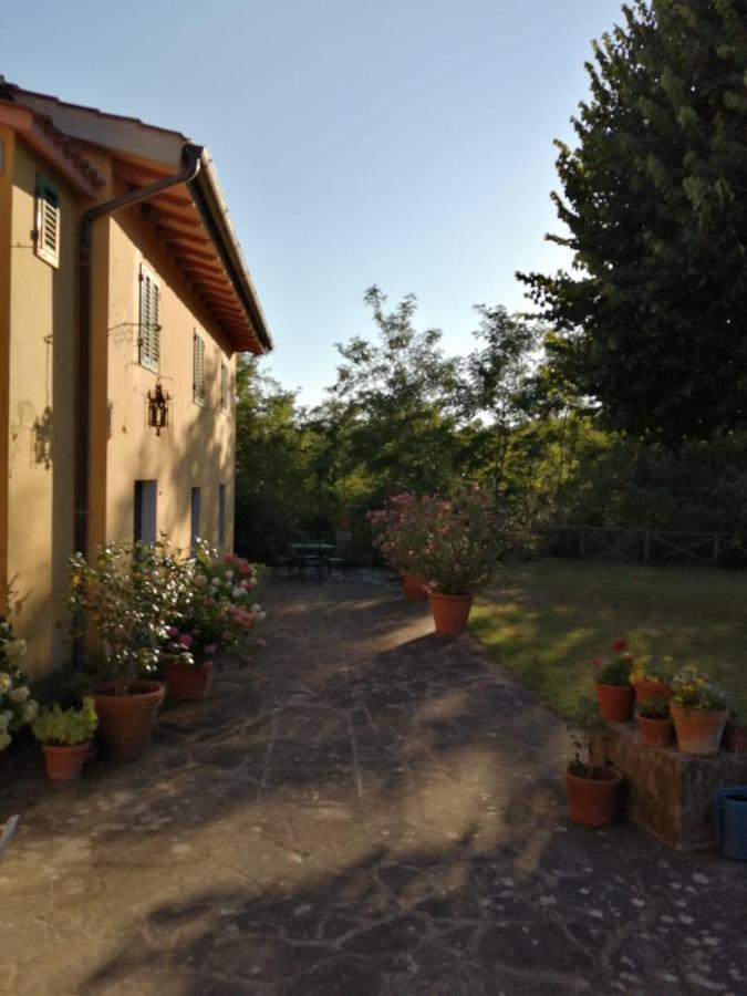 Mugello - Casa Di Campagna Bed & Breakfast Vicchio Exterior foto