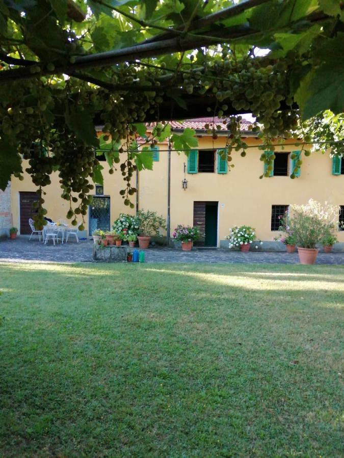 Mugello - Casa Di Campagna Bed & Breakfast Vicchio Exterior foto